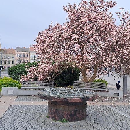 Szell 3 Apartman Apartment Szombathely Luaran gambar